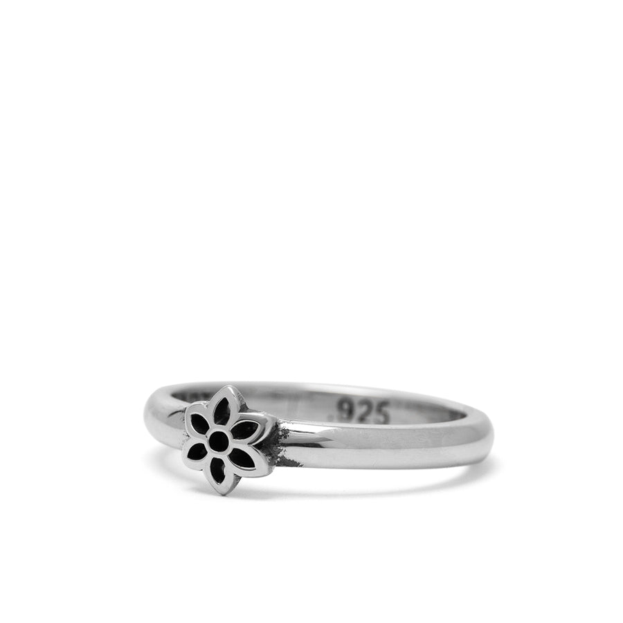 This is a photo of the sterling silver good our Hollywood scene band ring. The motif is a cutout rosette.